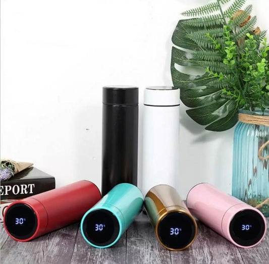 Smart LED Temperature Water Bottle (500ml)