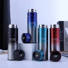 Smart LED Temperature Water Bottle (500ml)